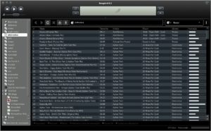 songbird-300x186 songbird